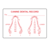 Nevs Canine Dental Label 2" x 3" White w/Red VW-0062